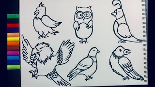 Guess the Birds | Name the Birds | How to draw and color Birds | Simple Drawung for beginners screenshot 3