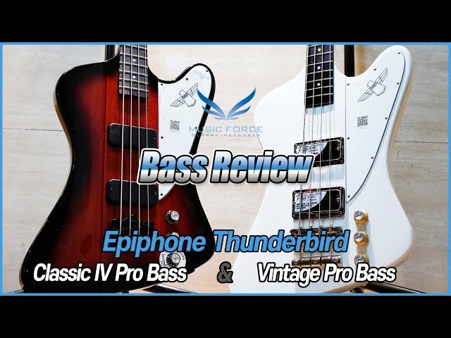Bass Review] Epiphone Thunderbird Classic IV Pro Bass