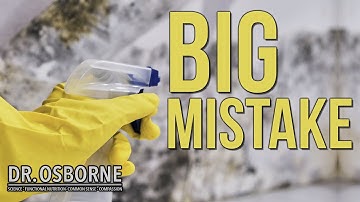 Mold Remediation Mistakes: Ozone, Cleaning, & How to Safely Move After Exposure