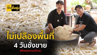 ไม่เปลืองพื้นที่ 4 วันชั่งขาย ปลูกถั่วงอก ระบบน้ำวน | จันลั่นทุ่ง