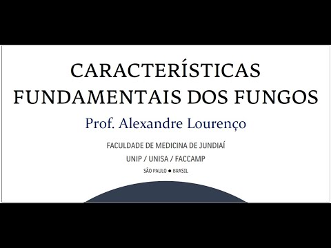 Características fundamentais dos FUNGOS - MED