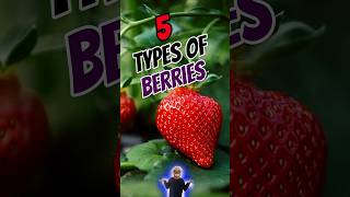 5 Different Types Of Berries In English #Shorts #LearnEnglish