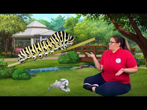 How Caterpillar becomes