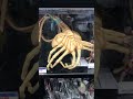 Alien!