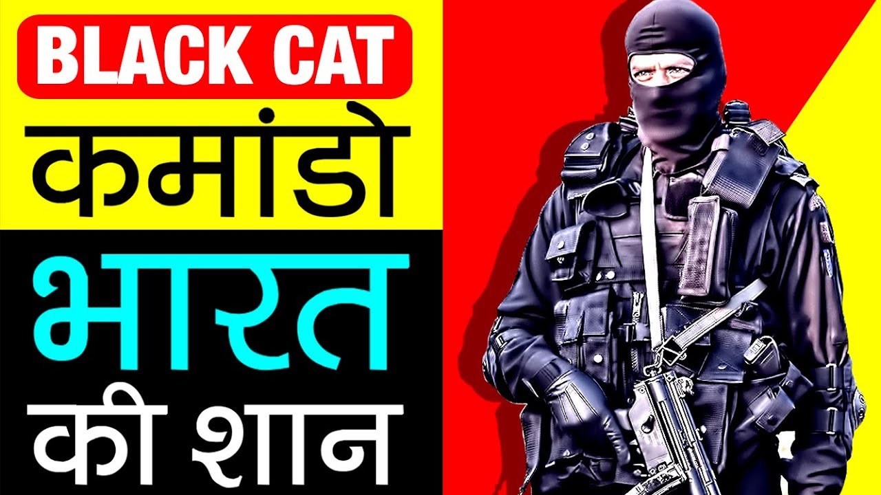 Black cats for VIPs at Aam Aadmi's expense?