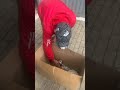 Хорёк пришёл в Ангар, чтобы спастись от бездомности. Нас знают даже звери