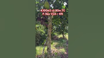 Vườn trái cây 4.100m2 có 80m thổ cư P Bảo Vinh - ĐN