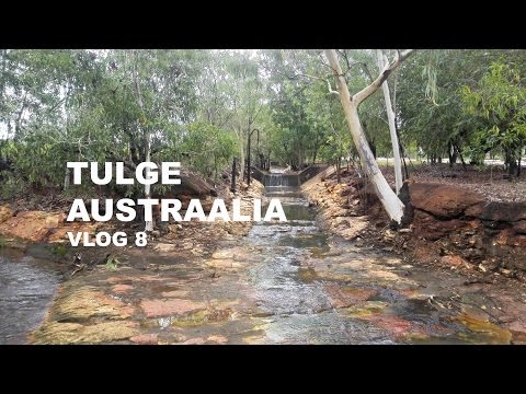 Video: Austraalias On Farmis Kasvanud Tohutu Härg - Alternatiivne Vaade