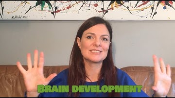 Brain Development