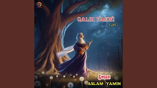Qalbi Yaewi