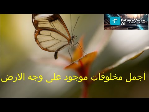 أجمل مخلوق على الأرض إبداع من صنع الخالق