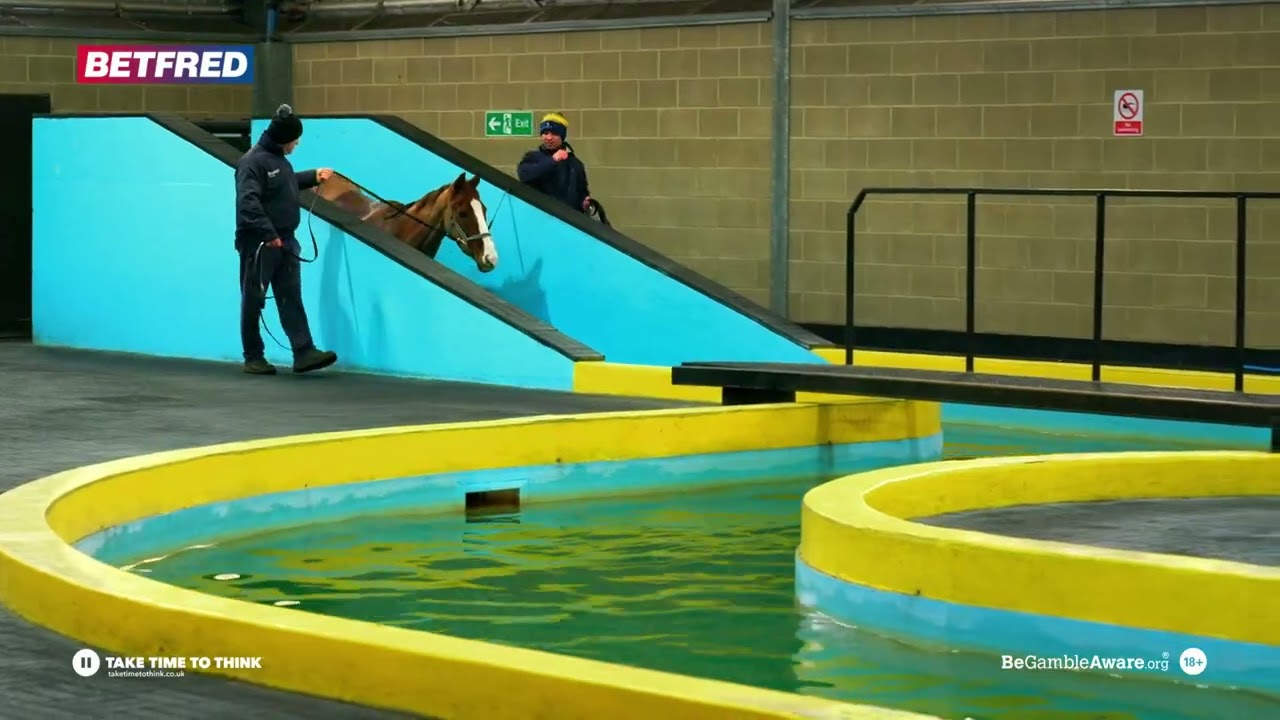 The Unsung Heroes of Cheltenham