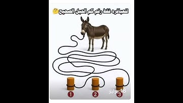 اللغز صعب حير الكثير لو عرفته فانت عبقري مااجمل صوت القران الكريم