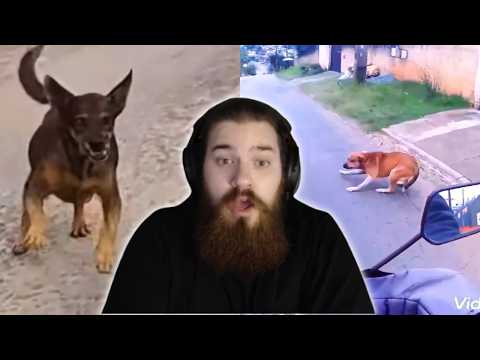 O cara levou 3 sustos no mesmo dia | SUSTOS DE MOTO (EP. 264) | React Xracing