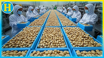 Hoe pistachenoten op ENORME schaal worden gemaakt! Ongelooflijke pistacheverwerkingsfabriek!
