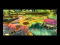 Zelda Twilight Princess on Dolphin SVN 4788 x64 Emulator HD