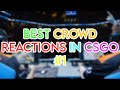 BEST Crowd Reactions in CSGO (Part #1)