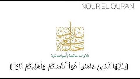 تلاوة خاشعة للشيخ سلمان العتيبي تخضع لها القلوب القاسية