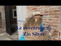 Le avventure di Zio Silver 5-Il suo saluto speciale