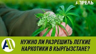 ОПРОС: Нужно ли легализовать марихуану в Кыргызстане? \\\\ 16.07.2019 \\\\ Апрель ТВ