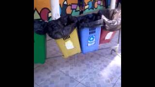 Tombo Do Ano ....