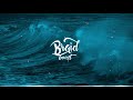 Remoe feat. Nura - Nackt (Adam Rise Remix) [Bass Boosted]