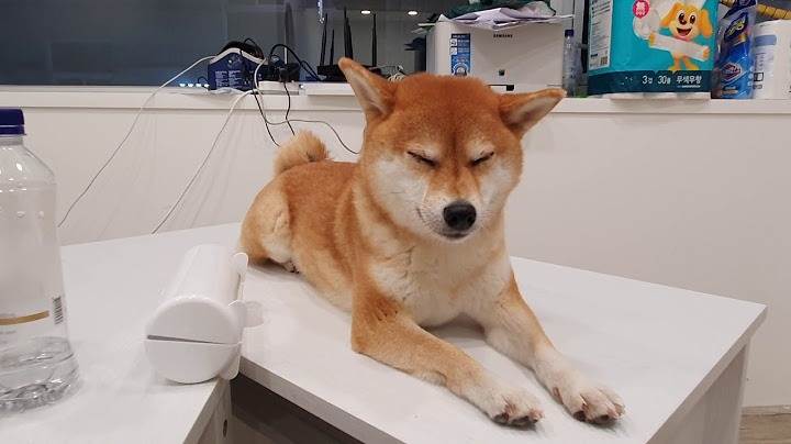 오랜만에 인사드려요!