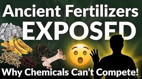 10 Ancient Fertilizers That DESTROY Chemical Fertilizers