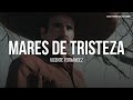 Vicente fernndez  mares de tristeza letra  lyrics