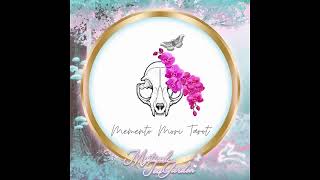 Mystical Tea Garden Fashion Walk