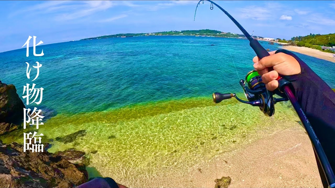こんな浅瀬に化け物が潜んでいた