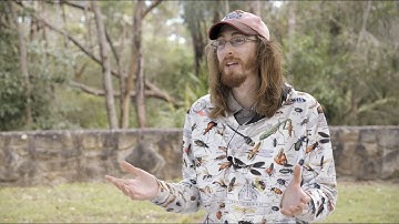 Seven reasons to contribute to iNaturalist as an identifier