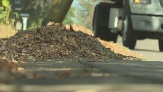 FIRST ALERT WEATHER: A guide to fall leaf clean-up