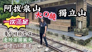 阿拔泉山O繞到獨立山怎麼繞？稜線雲海、茶園春色、鐵道懷舊一次滿足！😄2023.8.13vlog