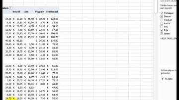 Draaitabellen in Excel 2013 (gevorderd)