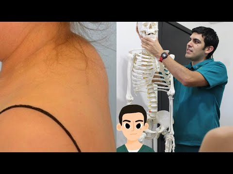 Vídeo: Grasa En El Cuello: Causas, Síntomas Y Tratamiento