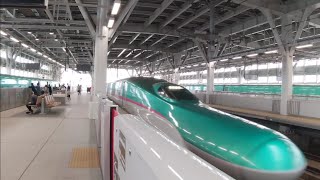 東北新幹線 はやぶさ17号 新青森行き E5系U15編成 2024.05.06