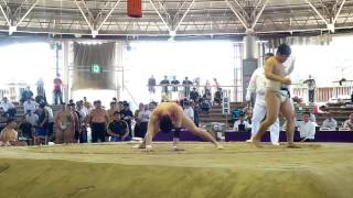20170514 2回戦 団体リーグ戦 第67回西日本学生相撲新人選手権大会 143202
