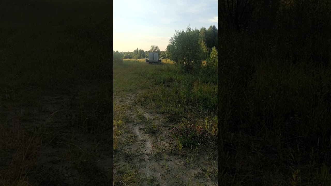 DL audio raven 200 (6 пар) от DL audio Gryphon PRO 2.2000 в 2.9 ом