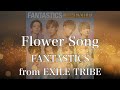 【歌詞付き】 Flower Song/FANTASTICS from EXILE TRIBE 【リクエスト曲】