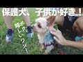 保護犬が、憧れの子供たちと触れ合えた瞬間【Day59】