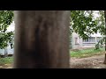 Основная камера Xiaomi Redmi K30 4K 30 FPS
