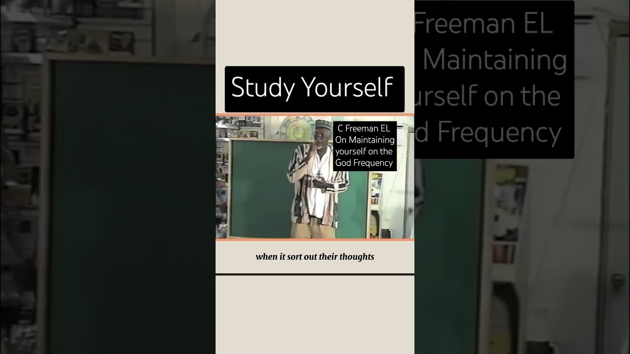 Study Yourself • C Freeman EL 