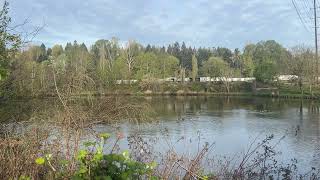 Cecil Moses Park, Tukwila, WA