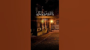 القارئ عبد الله الموسى |قرآن كريم بصوت جميل