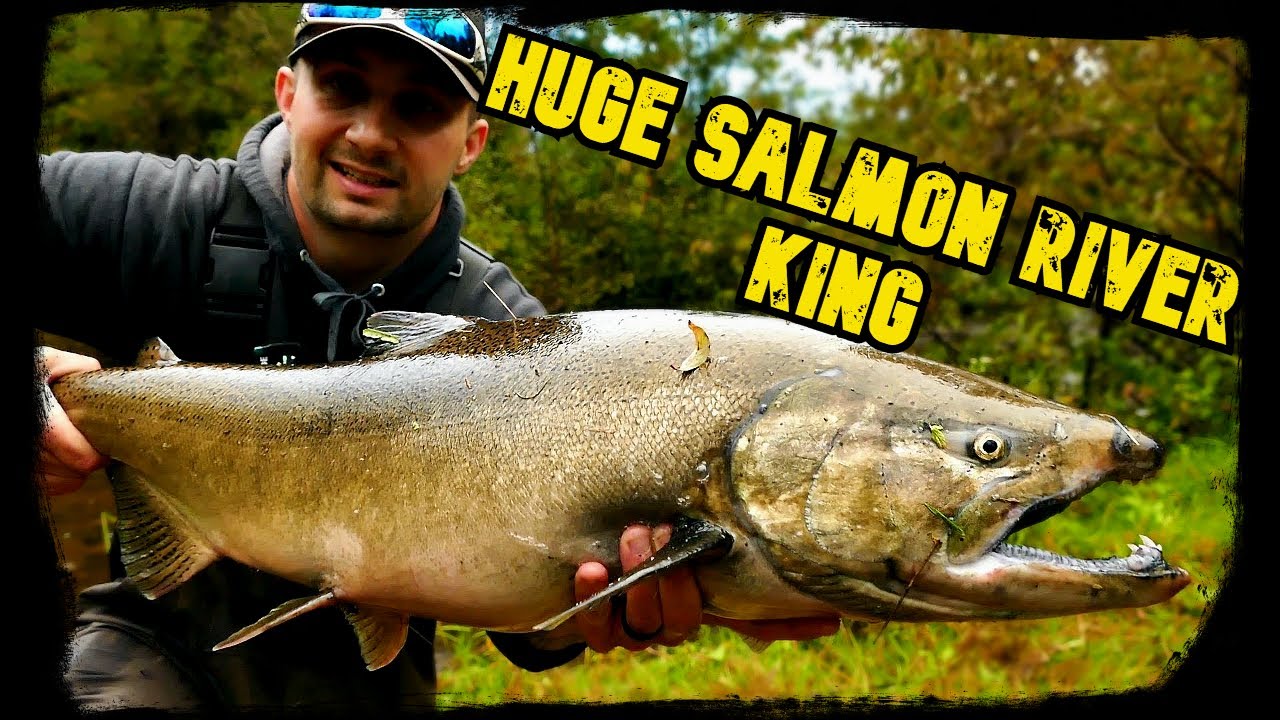 SALMON FISHING 2022 PULASKI, NY SALMON RIVER (**FISH CAUGHT