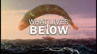 What Lives Below | Bro that literally had me sweating