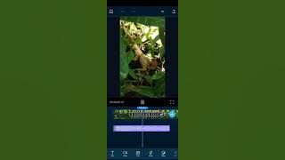 Bikin video Jedag-jedug di powerdirector  @rainquilityofficial