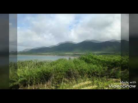 #沖縄名曲【BEGIN・島ちゅぬ宝】