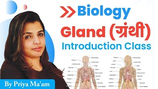 Gland/endocrine system/Biology Crash Course/general science for competitive exams/gs by priya mam